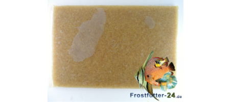 Larves de moustiques blanches plaque 500gr Congelées Aquariophilie