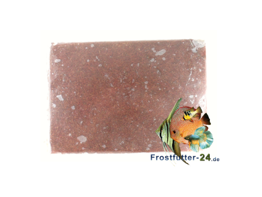 Larves de moustiques rouges...