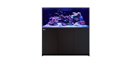 Revendeur officiel de la marque Red Sea