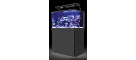 Revendeur officiel de la marque Red Sea