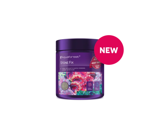 Stone Fix  colle pour roche