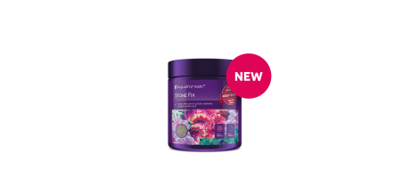 Stone Fix  colle pour roche