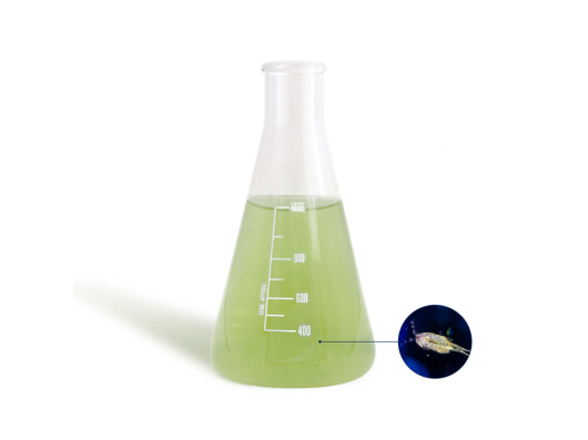 BEA mesocosmo Tisbe 1L