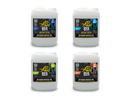 Kit de protocole de dosage BEA Pro 4x 5L
