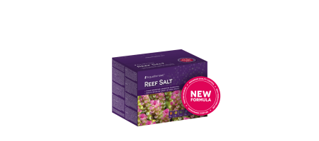 Reef Salt - Sel AQUAFOREST