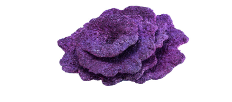 Real Reef Rock - Plates corals (10pcs) éco-responsables