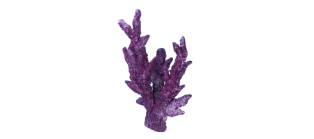 Real Reef Fancy Branch Rock ~15.5kg éco-responsables