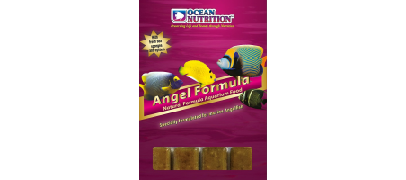 Angel Formula Blister 100gr Ocean Nutrition Congelées Aquariophilie