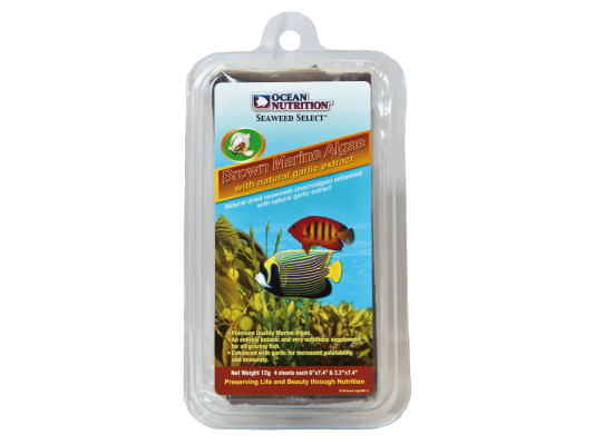 Brown Seaweed Algues brunes...