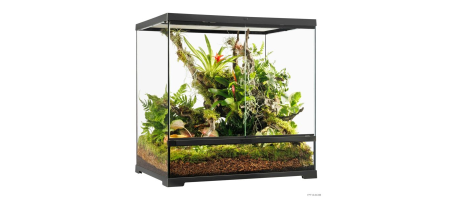 Exo Terra Pro terrarium pour reptiles, amphibiens et animaux invertébrés