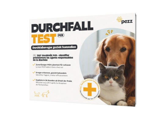 test de diarrhée Chien &...