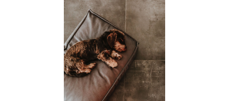 Coussin orthopédique/ergonomique pour chien Merida Hunter