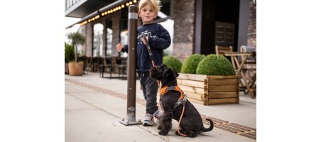 Harnais dogcophengagen