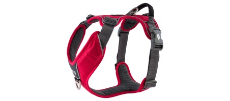 Harnais dogcophengagen