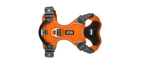 Harnais dogcophengagen