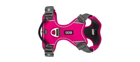 Harnais dogcophengagen