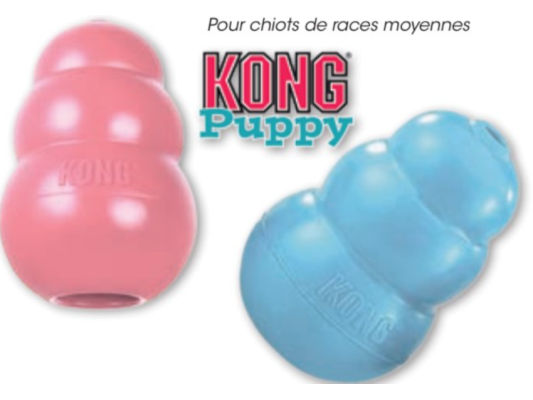 Kong Puppy M