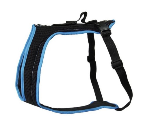 Harnais Dog's FunRun