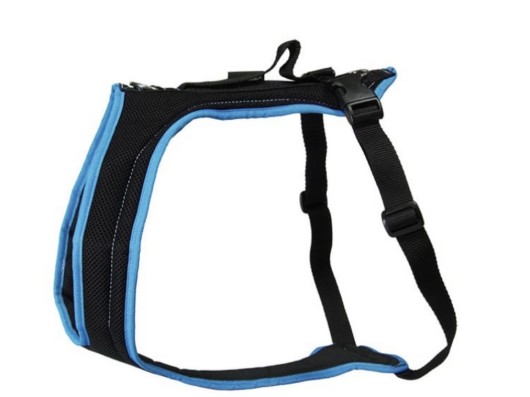 Harnais Dog's FunRun