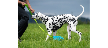 Mop Boudin Long 130cm