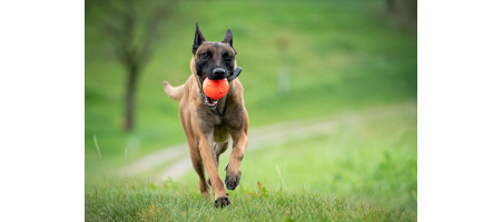 Boule en cuir écologique