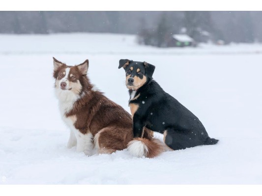 Vous cherchez un produit...