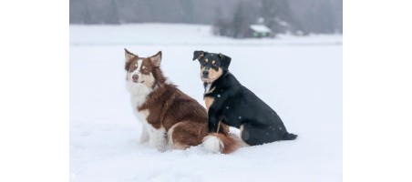 Vous cherchez un produit qui n’est pas sur le site ?