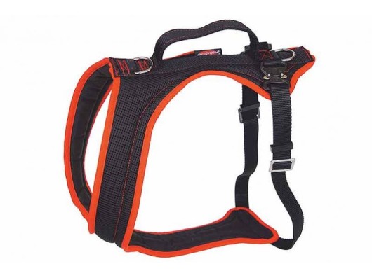 Harnais FunRun pour chiens (Voyage)