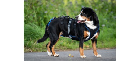 Harnais support 3 sangles supplémentaires