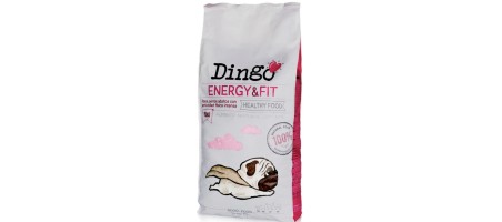 Dingo Energy&Fit 12kg