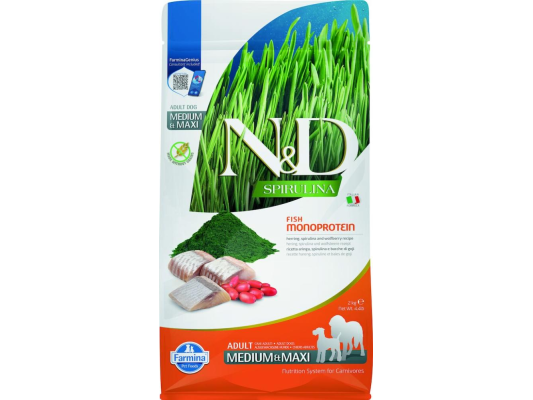 Can Adult Med/Max Hareng...