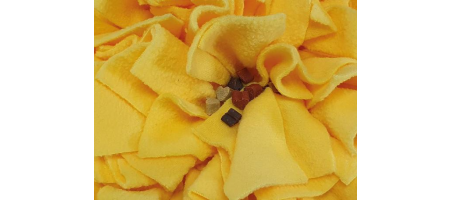 Tapis à friandises - renifleur - fouille 70x50cm BONE