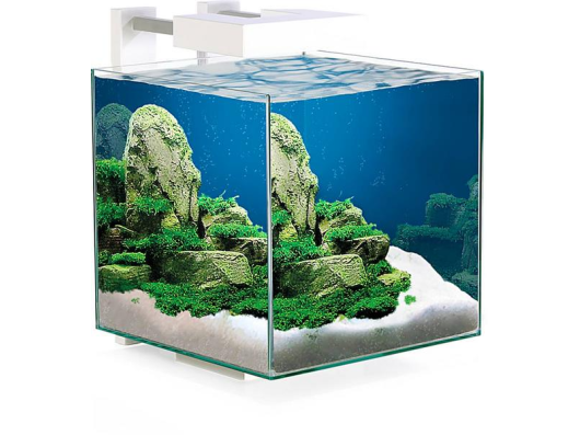 Nexus® Pure 15 LED CF 40 Ciano