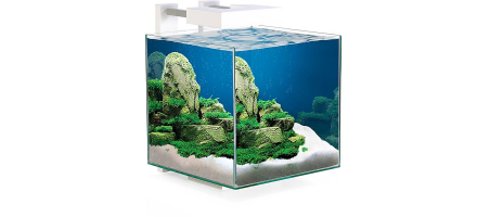 Nexus® Pure 15 LED CF 40 Ciano