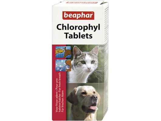 Comprimés à la chlorophylle Dog/Cat-Stop