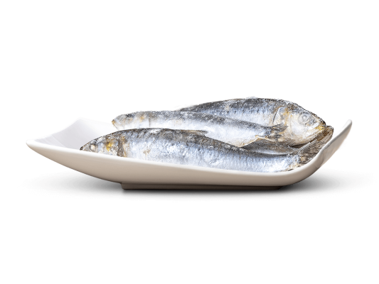 Sardines 1000g congelés en...