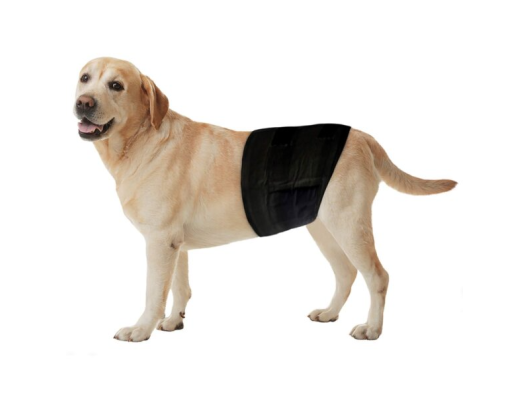 Couches jetables pour chiens 12 Stk Freezack