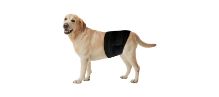 Couches jetables pour chiens 12 Stk Freezack