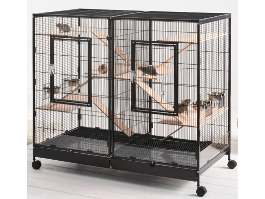 Tasmania 120 Rongeurs