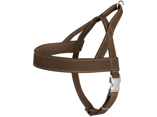 Chasse au harnais norvégien