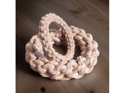 Le Scoubid-Anneau ANINESTECO