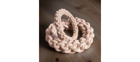 Le Scoubid-Anneau ANINESTECO