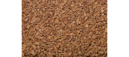 Shiny Fins - poisson combattant