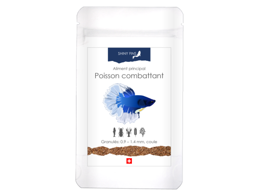 Shiny Fins - poisson combattant