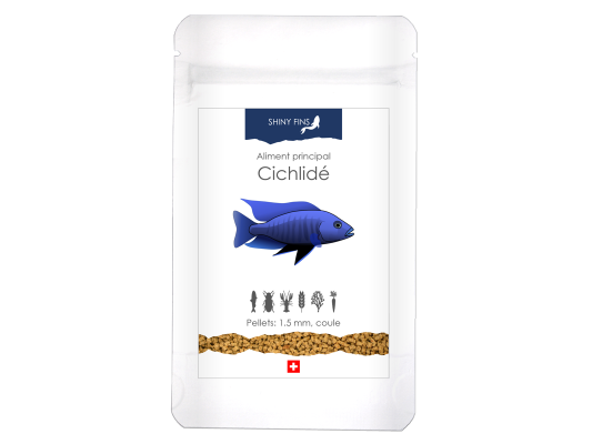 Shiny Fins – cichlidé