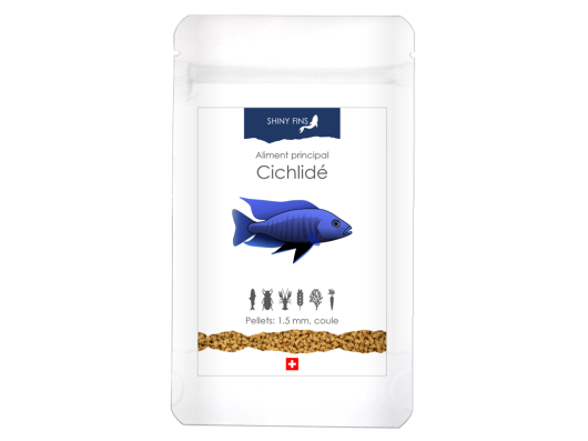 Shiny Fins – cichlidé