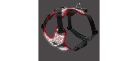 Harnais Divo Reflect Hunter