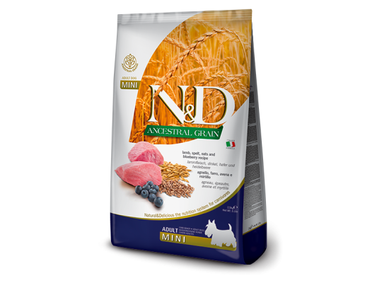 Can Adult Mini AGNEAU &...