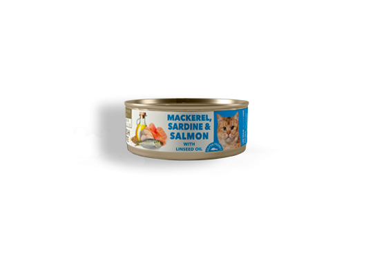 Mackerel, Sardine & Salmon Fresh pate Adulte