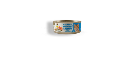 Mackerel, Sardine & Salmon Fresh pate Adulte